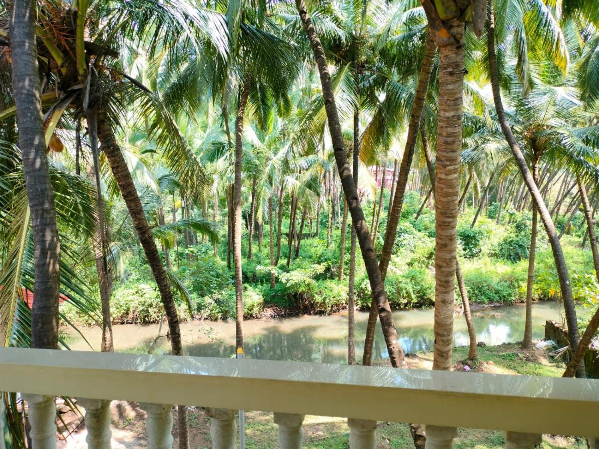 Santana Guest House أغوندا المظهر الخارجي الصورة