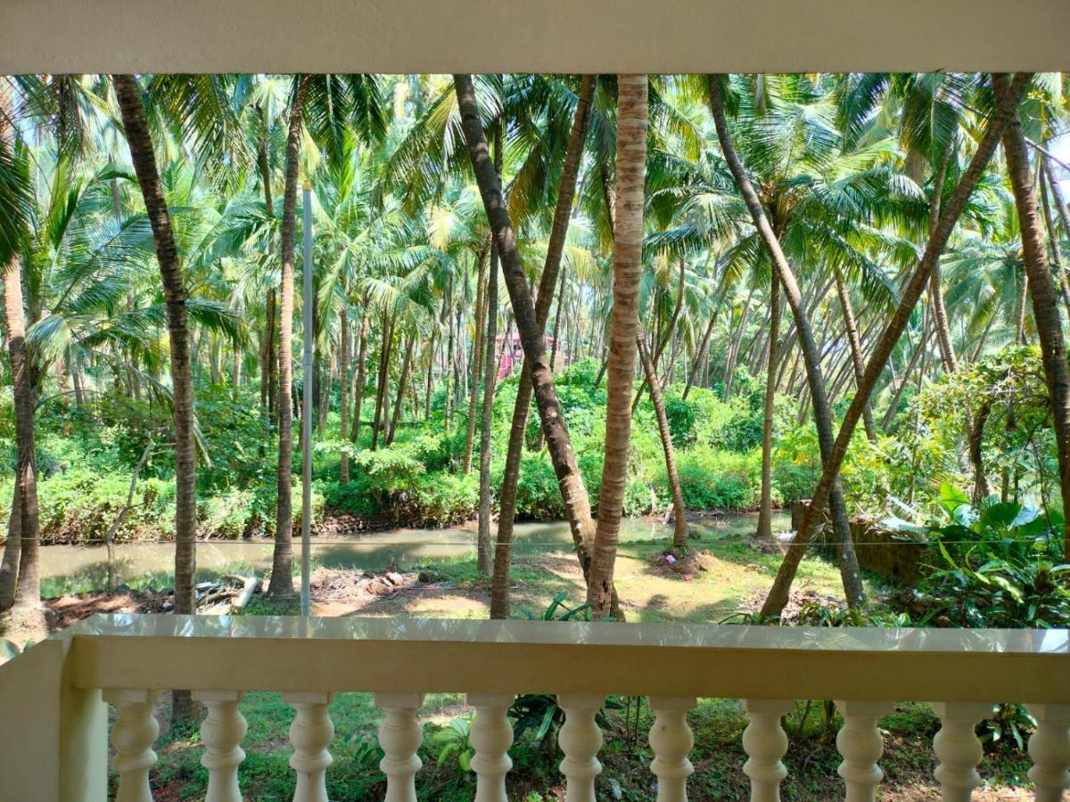Santana Guest House أغوندا المظهر الخارجي الصورة